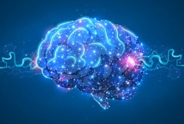 collegamenti neurologici nel cervello