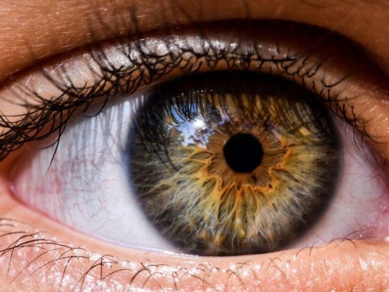 retina danneggiata cure